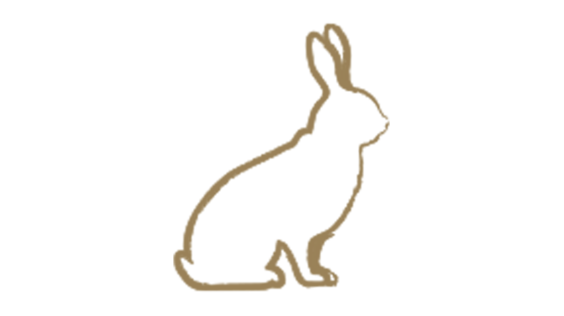 icona-coniglio