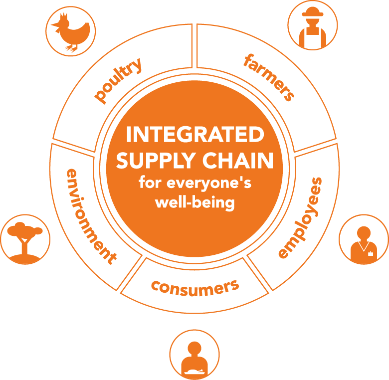 il ruspante supply chain_integrated